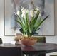 Uttermost® Moth Natural Brown Orchid Planter-2