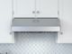 Zephyr Pro Collection Tempest I 42" Stainless Steel Pro Style Under Cabinet Hood-0