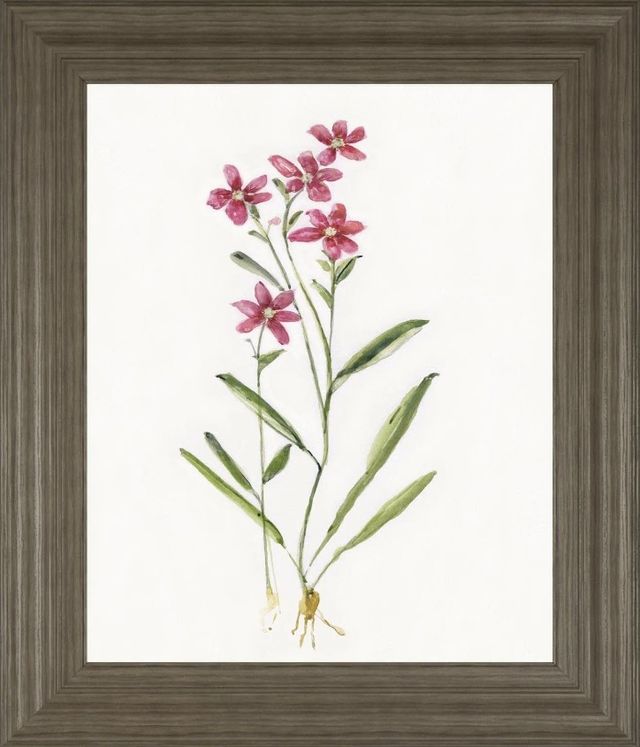 Classy Art Delicate Pink II by Sally Swatland Framed Wall Art-0