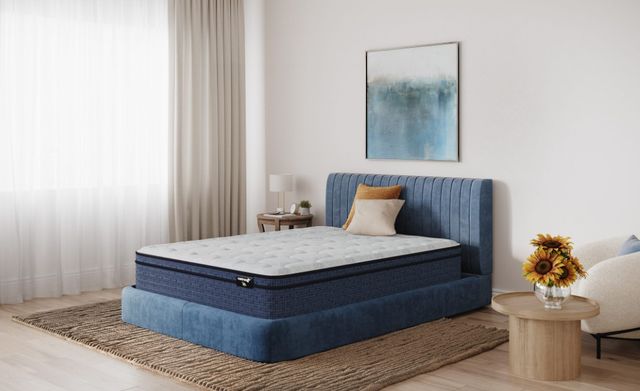 Mattress 1st® by Serta® Cleona 12.75" Wrapped Coil Plush Euro Top Queen Mattress-1