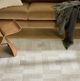 Nourison Home™ Nordic NRC05 5'x7' Style 9 Area Rug-5