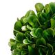 A & B Home Green Small Faux Boxwood Boxed Topiary-2