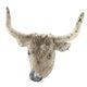 A & B Home Southern Living Whitewashed Ox Head Wall Decor-0