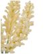 A & B Home Cream 12'' Faux Cereal Plant-2