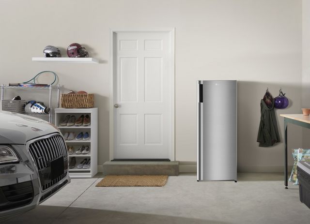 LG 5.8 Cu. Ft. Platinum Silver Single Door Freezer-18