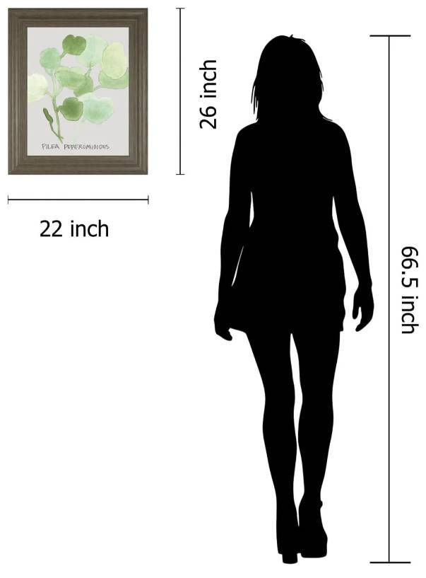 Classy Art Pilea Peperomioides by Katrien Soeffers Wall Art-2