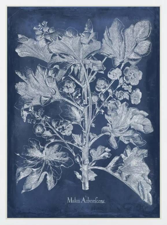 Classy Art Besler Leaves in Indigo II by Vision Studio Mirrored Frame Wall Art-1