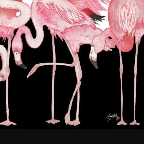 Classy Art Black And White Meets Flamingos by Elizabeth Medley Wall Art-1