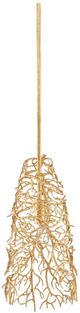 Currey & Company Sea Fan Gold Gilt Pendant Lighting-1