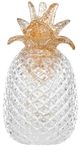 A & B Home Clear Large Glass Pineapple with LED Light-0