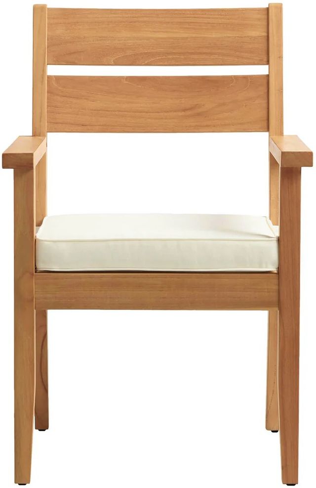 Linon Cannon Natural Teak Wooden Outdoor Dining Armchair with Seat Cushion-3