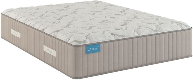 Sherwood® Bedding Spring Free™ Approachable Latex Soft Tight Top Twin XL Mattress-0