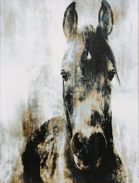 Stylecraft Tamara Day Soul of the Stallion IV Wall Art-1