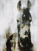 Stylecraft Tamara Day Soul of the Stallion IV Wall Art-1