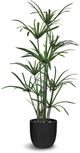 Le Present Cyperus Green 47" Faux Botanical-0