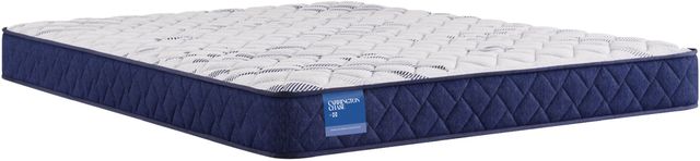 Sealy® Carrington Chase Erie 7" Foam Medium Firm Tight Top Full Mattress-0