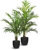 Le Present Green 78.5" Faux Botanical Palm Tree-1