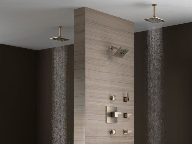 Brizo Essential™ Brilliance® Brushed Nickel Touch-Clean® Round Body Spray-2
