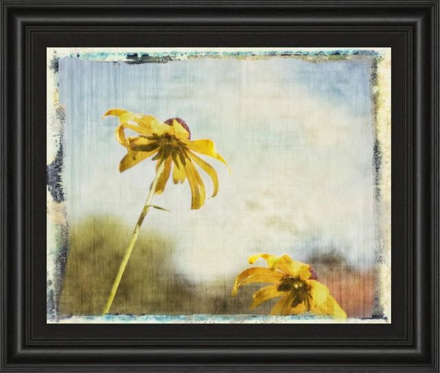Classy Art Blackeyed Susan Il by Meghan Mcsweeney Wall Art-0