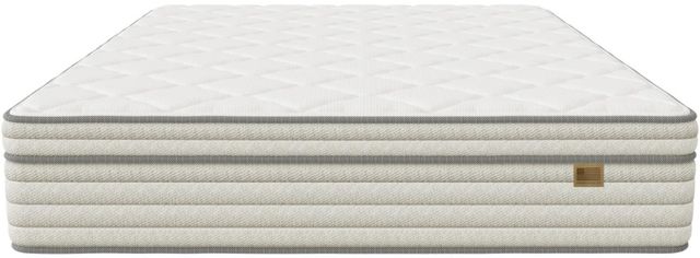 Eclipse® Bedding Industries of America Ohio Wrapped Coil Medium Plush Pillow Top Queen Mattress in a Box-2