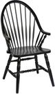 TEI Windswept Shores Black Rub-thru Arm Chair-0