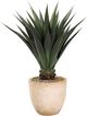 D&W Silks Artificial Jumbo Agave 48"-0