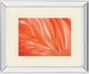 Classy Living Ortegam X Danza De La Pluna Wall Art-0