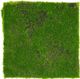 Le Present Green 10" Artificial Moss Tile-0