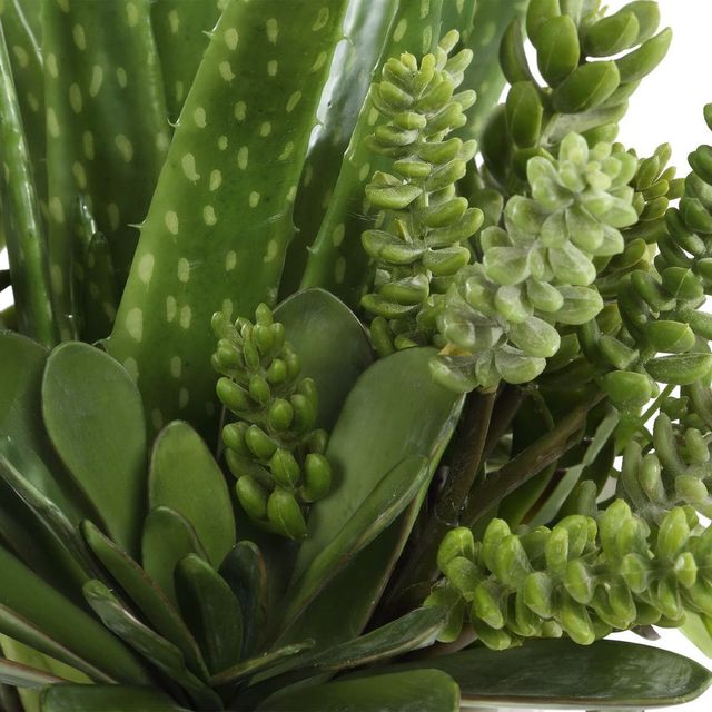 Uttermost® Sundown Succulent Green/White Accent Planter-3