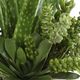 Uttermost® Sundown Succulent Green/White Accent Planter-3