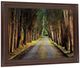 Classy Living Woodland Passage Wall Art-2
