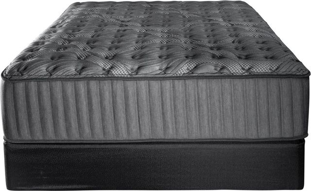 Spring Air® Kate 14.5" Hybrid Extra Firm Tight Top Queen Mattress-2
