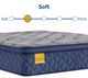 Sealy® Golden Elegance Bridgerton 14" Innerspring Soft Euro Pillow Top Twin XL Mattress-4