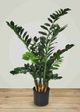 Le Present Zamioculcas Green Faux Botanical Cylindrica-5