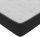 American Bedding™ Clement 14" Foam Encased Spring Plush Tight Top Queen Mattress-1