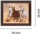 Classy Living Desert Run Wall Art-1
