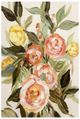 YHD Soft Bloom I Canvas-0