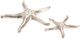 Crestview Collection Starfish 2-Piece Silver Set-0