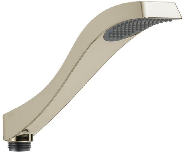 Delta Dryden® Polished Nickel Roman Tub Hand Shower-0