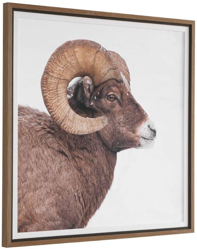 Uttermost® Big Horn Sheep Framed Print-4