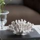 A & B Home White Inna Faux Rising Coral-3
