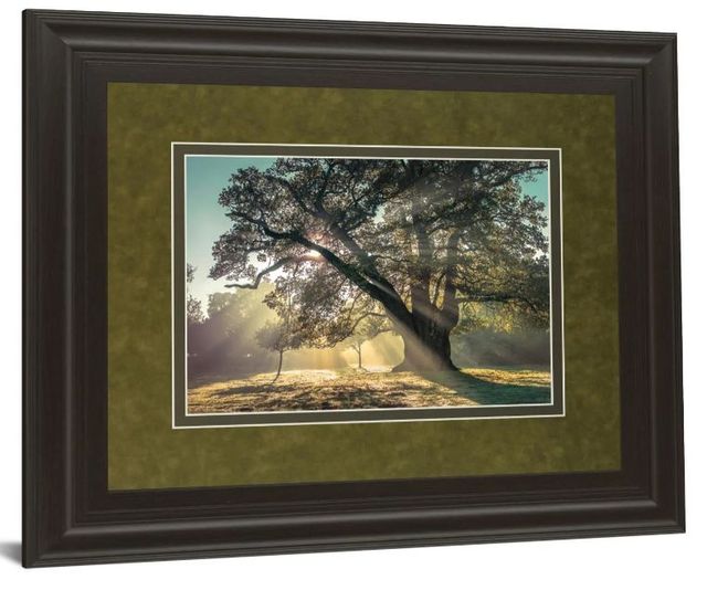Classy Art Breaking Through by A. Frank Wall Art-1