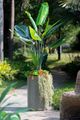A & B Home Distressed Green Cylinder Cement Planter-5