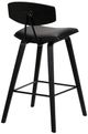 Armen Living Fox 2-Piece Black Barstool Set-5