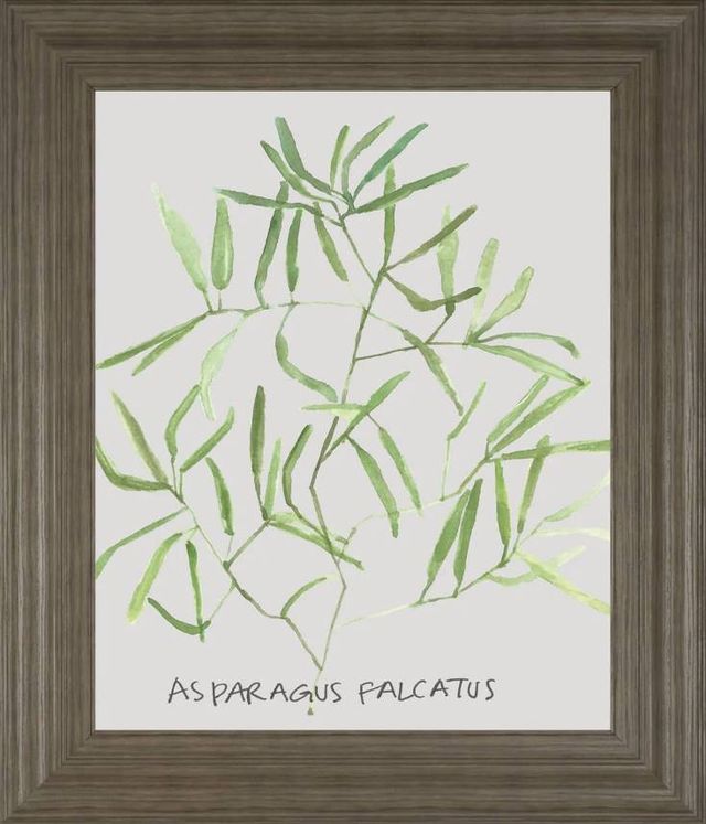 Classy Art Asparogus Falcatus by Katrien Soeffers Wall Art-0