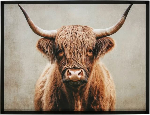 Stylecraft Majestic Highland Bull Wall Art-0