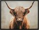 Stylecraft Majestic Highland Bull Wall Art-0