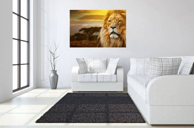 Classy Art Lion Safari Wall Art-3
