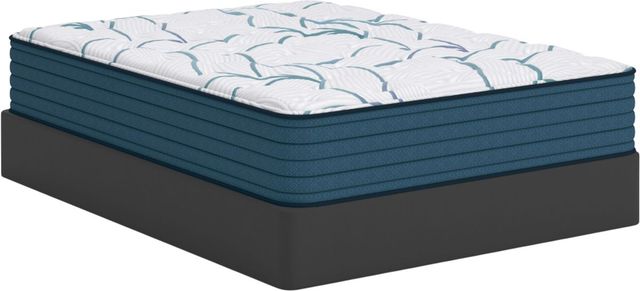 Sierra Sleep® by Ashley Limited Edition 3.0 Hybrid 13" Plush Tight Top California King Mattress in a Box-3