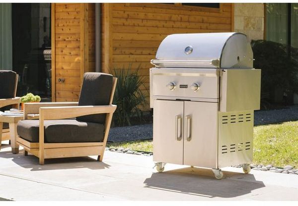 Coyote Outdoor Living C-Series 2-Burner Stainless Steel Built In Natural Gas Grill
